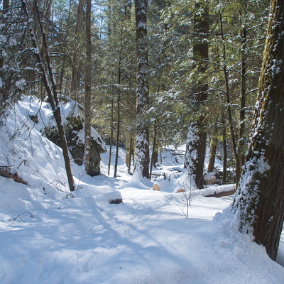 Rough Trail and Devil's Gulch